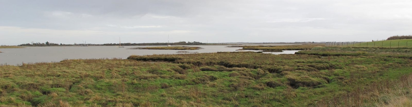 Blackwater Saltmarsh